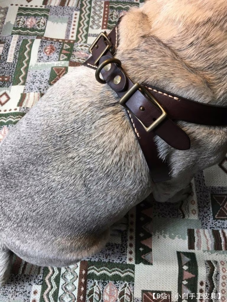 免费版型狗背带 - 2